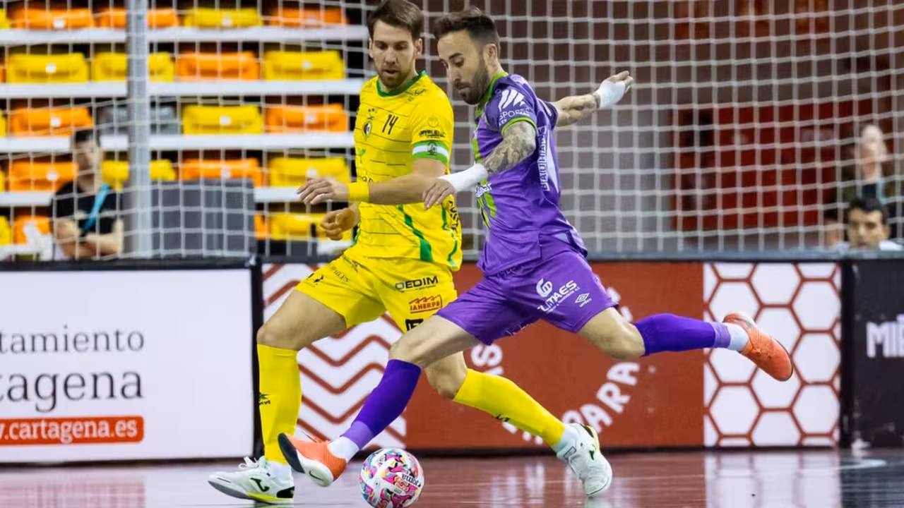 Illes Balears Palma Futsal