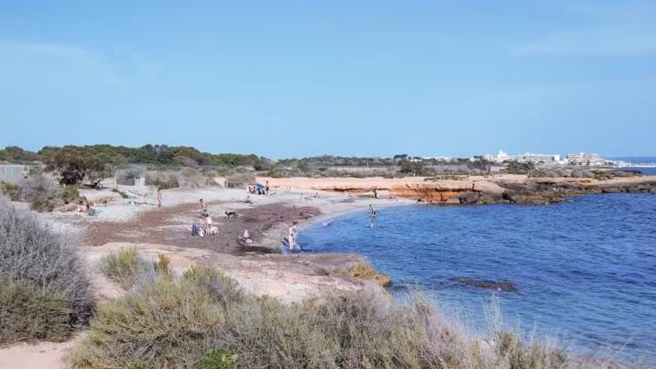 T_Es carnatge