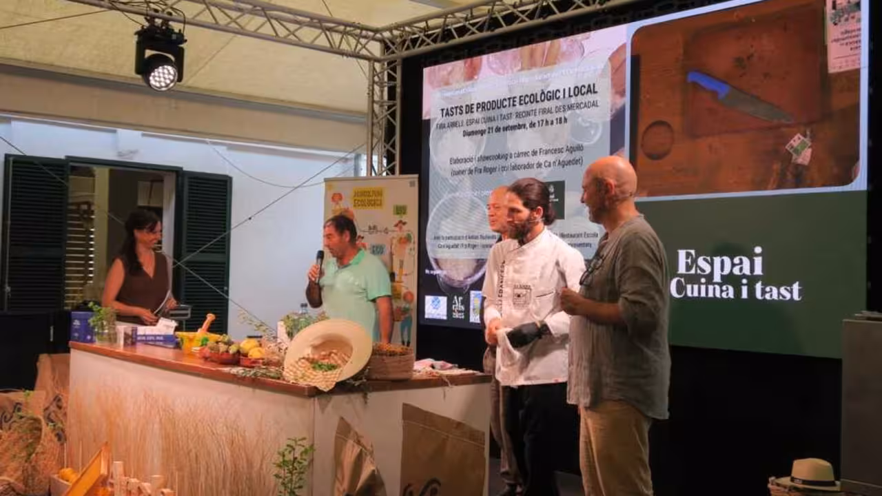 d4fb95a8-4061-4903-9fd4-975d8cfeeace