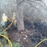 Controlado el incendio de Cala Tuent tras quemar 8,6 hectáreas de matorral