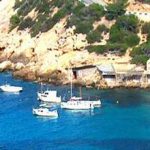 Los empresarios náuticos de Menorca piden modificar el decreto sobre la conservación de la posidonia