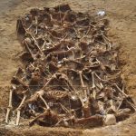 La exhumación de la fosa de Porreres ha extraído 55 cuerpos