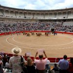 Unidas Podemos pide que se investigue una "posible infracción de la Ley de Memoria Histórica" en la corrida de toros
