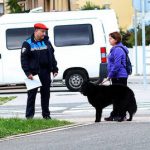 El Seprona investiga a un vecino de Palma por maltratar a su perro y otros animales