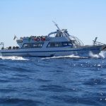 El barco encallado en Sa Torreta ya ha sido remolcado al puerto de Ibiza