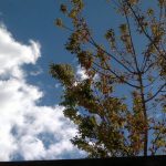 EL TIEMPO / Miércoles de pocas nubes