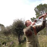 Los cazadores de Balears consideran que la moratoria en la caza de la tórtola pondría en riesgo el futuro de la especie