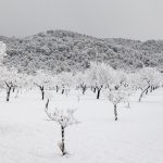 EL TIEMPO / La cota de nieve baja hasta los 400 metros en Baleares