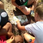 Los alumnos de primaria de Calvià descubren el bosque Mediterráneo a través de los sentidos