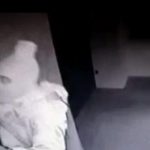 Detenidos dos hombres por robar en varios domicilios de Calviá