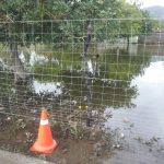 Binissalem exige al Govern y al Consell que acabe con sus problemas de inundaciones