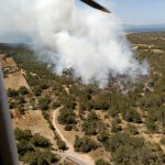 Extinguido el incendio de Formentera después de calcinar cinco hectáreas
