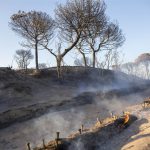 El incendio de Moguer (Huelva) ya está controlado