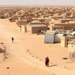 Amics del Poble Sahrauí: "Se están expoliando los recursos del pueblo, no sólo la arena"