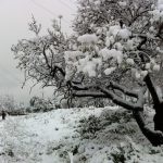 Mallorca cubierta por la nieve
