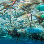 Los expertos advierten: "Hoy por hoy, hay más plástico que placton en el Mediterráneo"