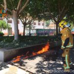 Incendio en el Parc de Ses Estacions de Palma