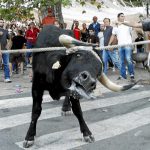 El Constitucional suspende cautelarmente la ley de 'toros a la balear' que prohíbe la muerte del animal