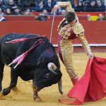 El Parlament da el primer paso para evitar "la muerte y la tortura" en las corridas de toros de Baleares