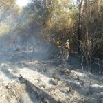 Incendio forestal en Sa Farola (Menorca)