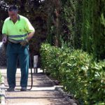 “La mayoría de los jardineros que trabajamos para Cort no llegamos a mileuristas”