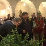 SANT ANTONI / Son Servera celebra la tradicional fiesta este fin de semana