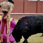 Fiesta taurina para celebrar la paralización de los ‘toros a la balear’