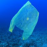 El mar de Baleares es una contaminada "sopa de plasticos"