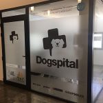 Dogspital recibe el premio de la Fundación Amigos del Perro