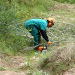 Endesa invierte más de 236.000 euros en limpiar de masa forestal la línea eléctrica de Ibiza y Formentera