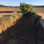 El Govern ha acondicionado 300 kilómetros de torrentes en Balears en los últimos años