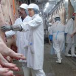 AFEDECO critica la "falta de sensibilidad" de Cort hacia el matadero