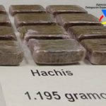 Detenido un joven de 21 años en Eivissa tras recibir un paquete con 1,2 kilos de hachís