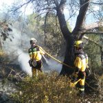 Extinguido el incendio forestal en Camí des Rost en Sóller