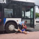Dos jóvenes agreden a un conductor de autobús en Sant Antoni