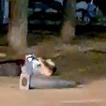 VÍDEO / Los cinco terroristas abatidos en Cambrils