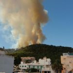 Activado el nivel 1 en el incendio de Cala Gració en Eivissa