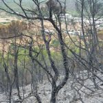 Controlado el incendio de Sa Talaia tras quemar ocho hectáreas de vegetación