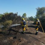Extinguido el incendio forestal declarado en Alcúdia