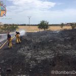 Alarma por un incendio entre el polígono de Son Castelló y el hipódromo de Son Pardo