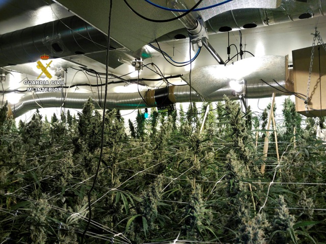 laboratorio marihuana ibiza