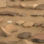 Aprende arqueología en Eivissa