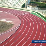 Parlament propone al Govern volver a reunirse con afectados para mejorar el acceso al polideportivo Príncipe de España