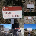 Junts per Alaró denuncia la dejadez en el mantenimiento de la zona rural del municipio