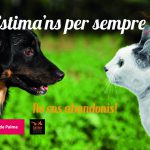 El Ajuntament y Baldea inician una campaña contra el abandono de animales de compañía