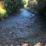 El Ajuntament de Sencelles denuncia vertidos de aguas fecales en el torrente de Solleric