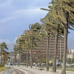 Balears registra más de 200 incidencias por el viento