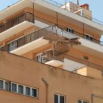 Desalojan varias plantas de un hotel del Arenal al derrumbarse un balcón