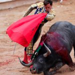 El Govern instará al Gobierno a retirar el recurso de inconstitucionalidad a la ley de toros 'a la balear'