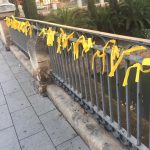 Los lazos amarillos aparecen en Palma por la Semana de la Libertad de Expresión